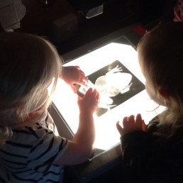 Seeing which animals have bones at our Nursery