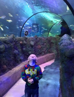 A Visit to the Aquarium