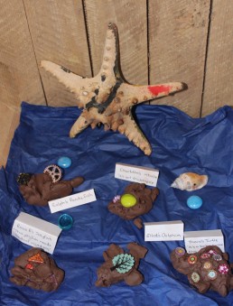 Clay Sea Creatures Made by our Children