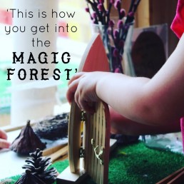Magic forest