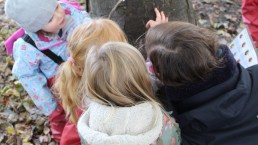 Inspecting trees at Forest School