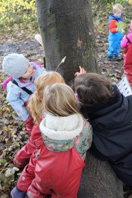 Inspecting trees at Forest School